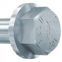 FBS II 12x85 25/10/- US